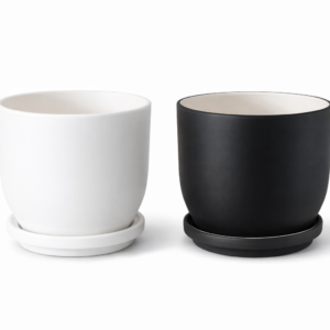 Black x White Cactus