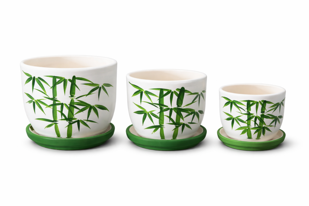 Bamboo design cactus