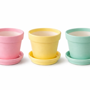 Cactus design pastel color