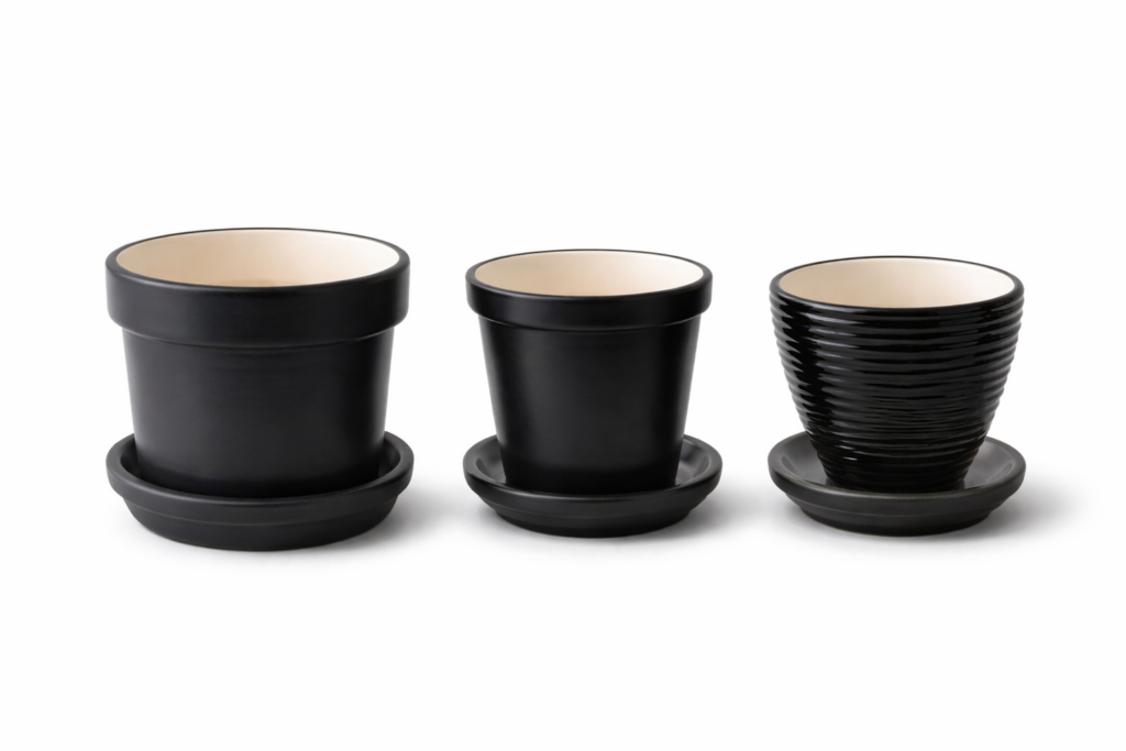 Black collection cylindrical cactus